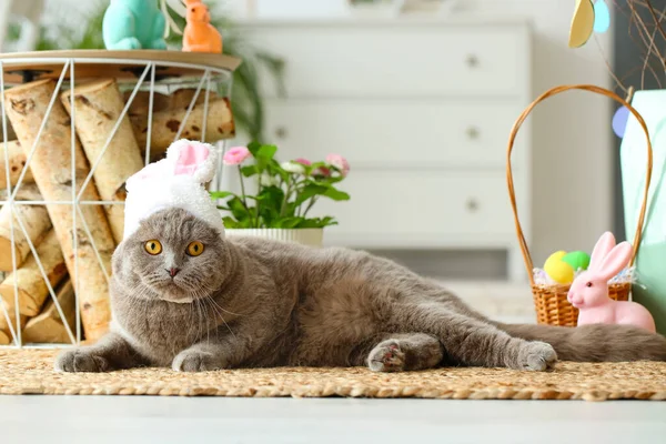 Niedliche Scottish Fold Katze Hasenohren Mit Ostereiern Und Kaninchen Hause — Stockfoto