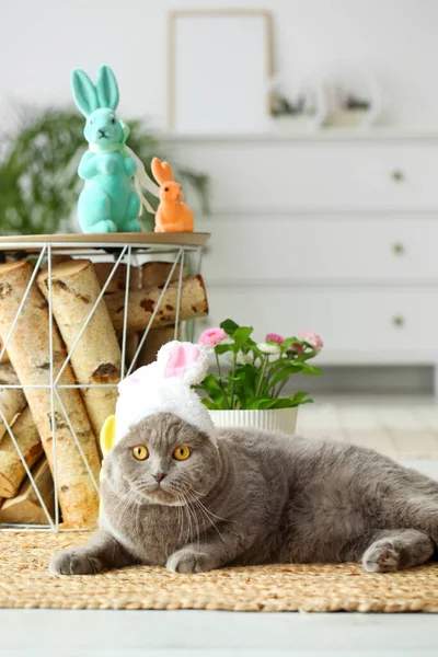 Cute Scottish Fold Cat Bunny Ears Easter Rabbits Roses Home — Stock Photo, Image