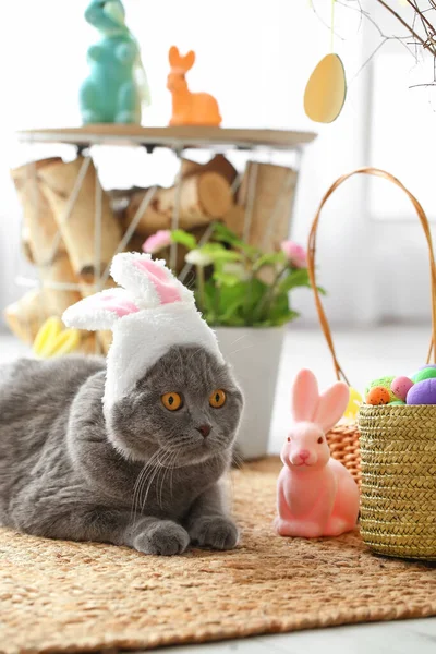 Cute Scottish Fold Cat Bunny Ears Easter Eggs Rabbit Home — Stock Photo, Image
