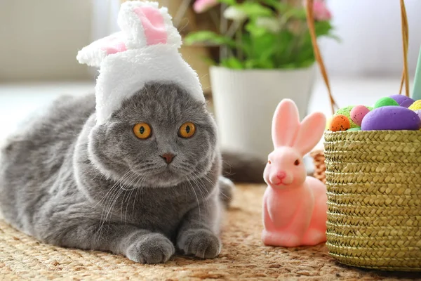 Симпатичный Шотландский Кот Кроличьих Ушах Пасхальными Яйцами Кроликом Дома — стоковое фото