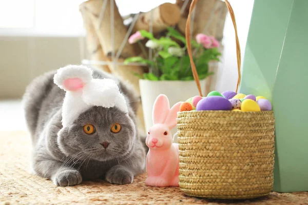 Cute Scottish Fold Cat Orelhas Coelho Com Ovos Páscoa Coelho — Fotografia de Stock