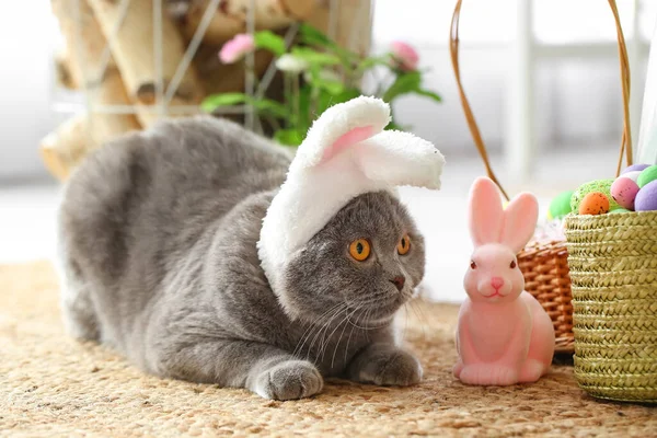 Niedliche Scottish Fold Katze Hasenohren Mit Ostereiern Und Kaninchen Hause — Stockfoto