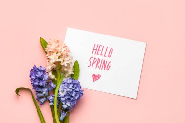 Mesajlı kart Hello İlkbaharı ve pembe arka planda güzel sümbül çiçekleri