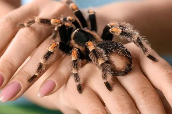 恐ろしいタランチュラクモを持つ女性 クローズアップ — ストック写真