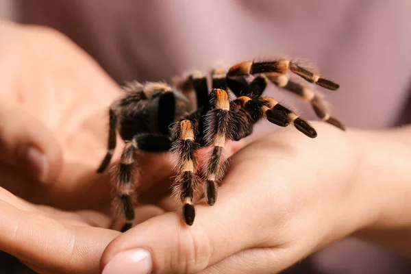 Mulher Com Aranha Tarântula Assustadora Close — Fotografia de Stock