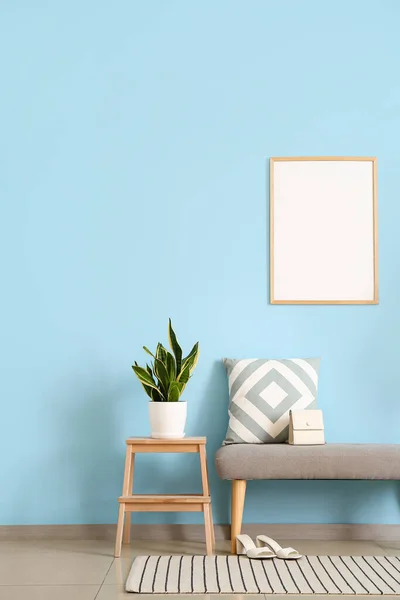 凳子上的家庭植物 靠蓝色墙壁的有袋子和垫子的长椅 — 图库照片