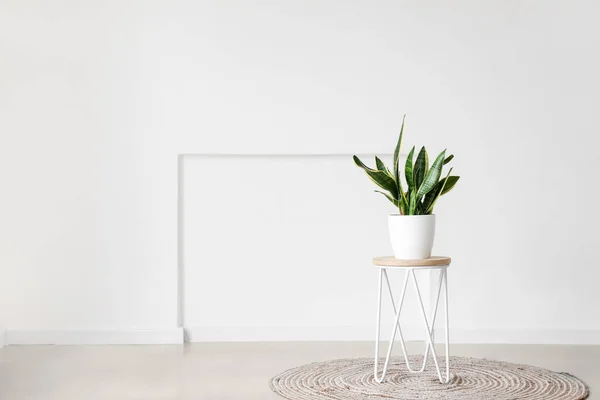 Moderner Tisch Mit Zimmerpflanze Inneren Des Hellen Raumes — Stockfoto