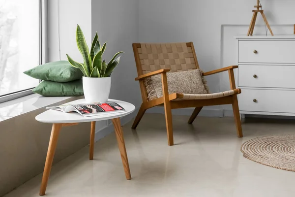 室内装饰有家庭植物 杂志和椅子的现代餐桌 — 图库照片