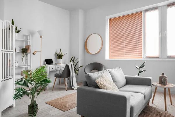 Table Moderne Avec Plantes Intérieur Canapé Intérieur Chambre — Photo