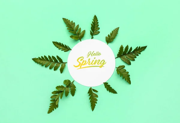 Card Text Hello Spring Fern Leaves Color Background — Stock Photo, Image