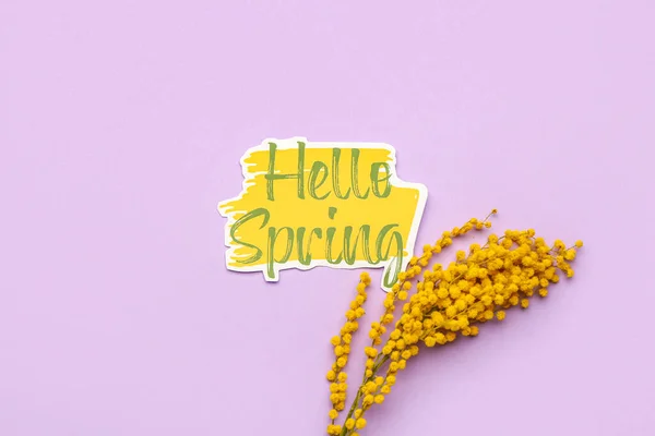 Κείμενο Hello Άνοιξη Και Όμορφα Λουλούδια Μιμόζα Στο Φόντο Χρώμα — Φωτογραφία Αρχείου