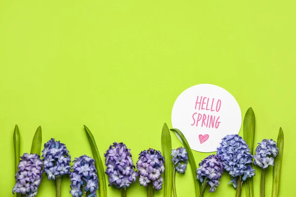 Hermosas Flores Jacinto Tarjeta Con Texto Hello Spring Sobre Fondo — Foto de Stock