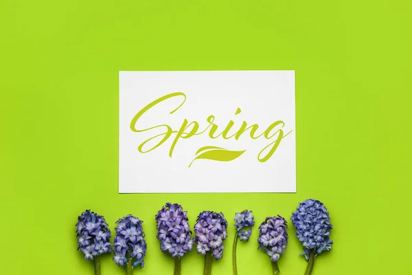 Karta Slovem Spring Krásné Hyacintové Květy Zeleném Pozadí — Stock fotografie