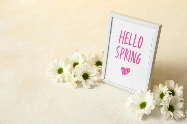 Ramka Tekstem Hello Spring Chryzantemy Kwiaty Jasnym Tle — Zdjęcie stockowe