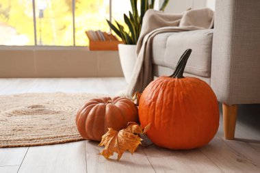 Taze balkabakları ve rahat bir kanepe.