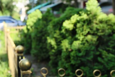 Kozalaklı çalılar ve çitlerle güzel manzara tasarımının bulanık görüntüsü