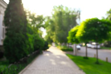 Şehir caddesinde patikası olan güzel manzara tasarımı