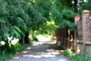 Yeşil ağaçlar ve sokak ile şehir caddesinin bulanık görüntüsü