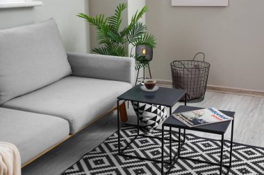 Kahve masası ve kanepesi olan modern bir oda.