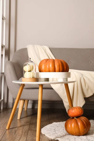 Verse Pompoenen Tafel Comfortabele Bank Kamer — Stockfoto