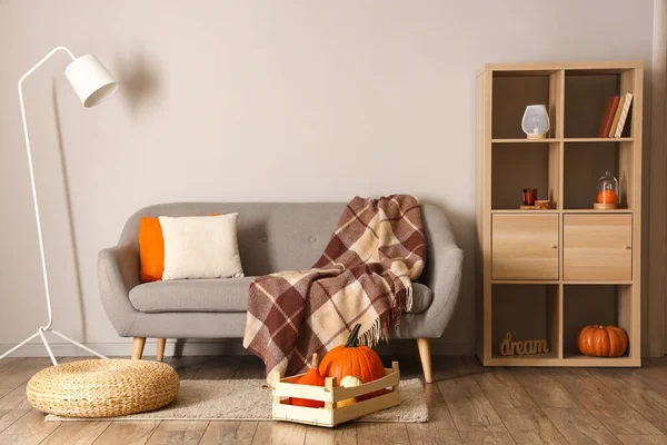 Interior Modern Living Room Comfortable Sofa Lamp Pumpkins — Stock Photo, Image