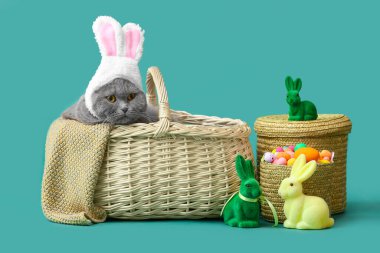 Sevimli İskoç kedisi Sepetli, Paskalya yumurtalı ve yeşil arka planda tavşanlı