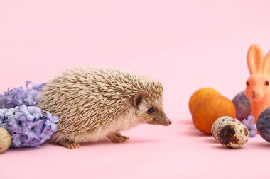 Paskalya yumurtaları ve pembe arka planda çiçekleri olan komik kirpi.