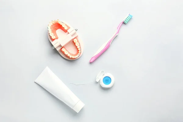 Modelo Mandíbula Con Frenos Dentales Cepillo Dientes Pasta Hilo Dental — Foto de Stock