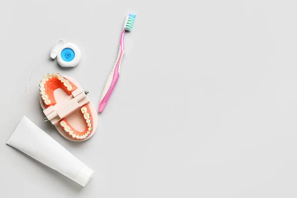 Modelo Mandíbula Com Aparelho Dentário Escova Dentes Pasta Fio Dental — Fotografia de Stock