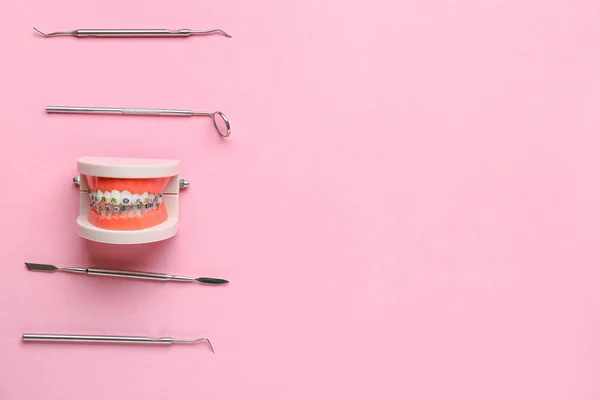 Modèle Mâchoire Avec Appareils Dentaires Outils Dentiste Sur Fond Rose — Photo