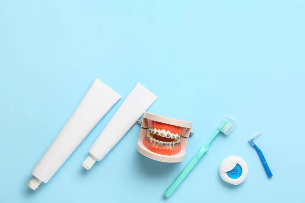 Modelo Mandíbula Con Frenos Dentales Cepillos Dientes Pasta Hilo Dental — Foto de Stock