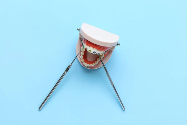 Modello Mascella Con Apparecchio Dentale Strumenti Dentistici Sfondo Blu — Foto Stock