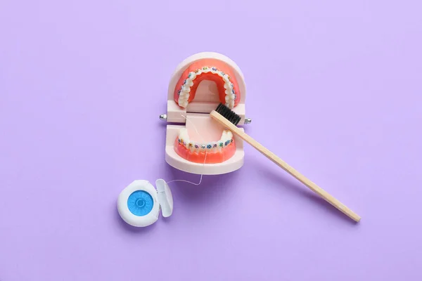 Modèle Mâchoire Avec Appareil Dentaire Brosse Dents Fil Dentaire Sur — Photo