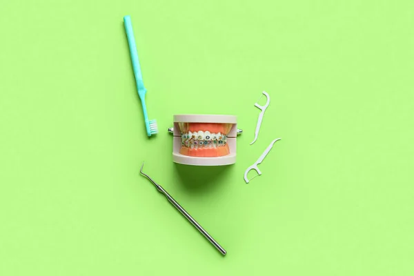 Modelo Mandíbula Con Tirantes Dentales Mondadientes Cepillo Herramienta Sobre Fondo — Foto de Stock