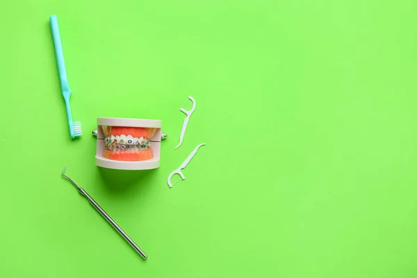 Modelo Mandíbula Com Aparelho Dentário Palitos Escova Ferramenta Sobre Fundo — Fotografia de Stock