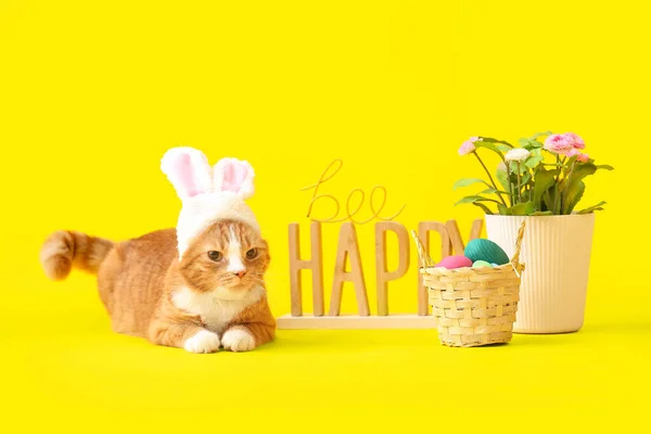 兔子耳朵 复活节蛋和黄色背景的花盆中的可爱猫 — 图库照片