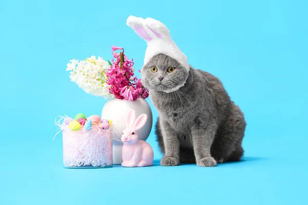 Söt Skotsk Vik Katt Med Påskägg Kanin Och Blommor Blå — Stockfoto
