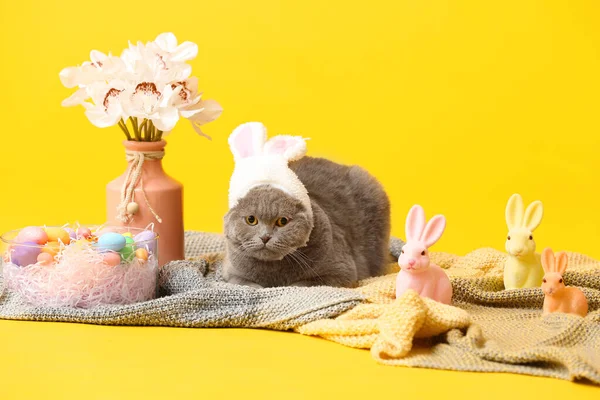 可爱的苏格兰猫 有复活节彩蛋 兔子和黄色背景的花朵 — 图库照片