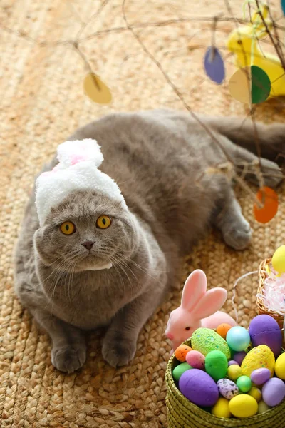 Cute Scottish Fold Cat Orelhas Coelho Com Ovos Páscoa Coelho — Fotografia de Stock