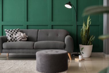 Pouf, kanepe, ev çiçekleri ve oturma odasındaki renkli duvarın yanında yer lambası.