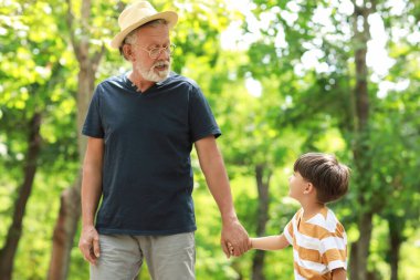 Küçük çocuk ve büyükbabası parkta yürüyorlar.