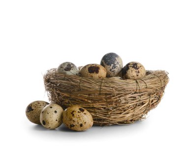 Beyaz arka planda taze bıldırcın yumurtalı yuva.