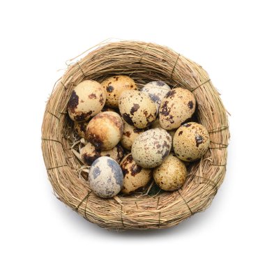 Beyaz arka planda taze bıldırcın yumurtalı yuva.