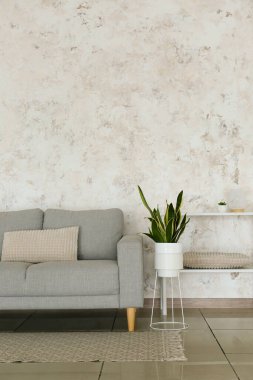 Modern oturma odasının içinde şık bir kanepe ve çiçek var.