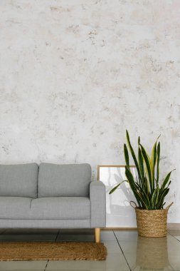Modern oturma odasının içinde şık bir kanepe ve çiçek var.
