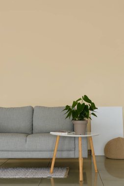 Modern oturma odasının içinde şık bir kanepe, masa ve çiçek var.