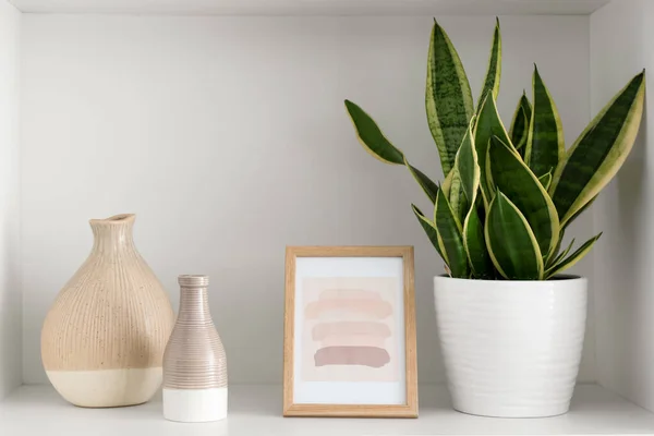 Shelf Vases Photo Frame Houseplant Room — Stock Photo, Image