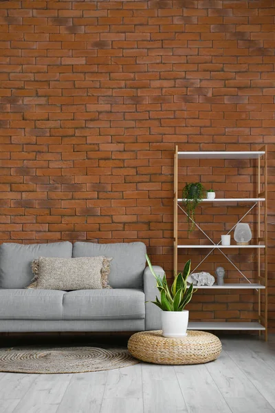 Interior Modern Living Room Stylish Sofa Shelf Unit — Stock Photo, Image