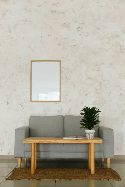 화초가 현대식 거실의 — 스톡 사진