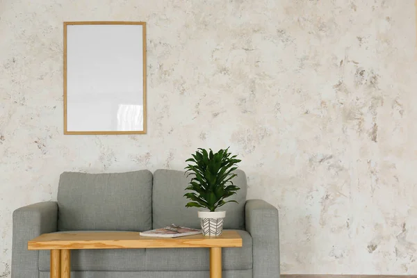 Interior Modern Living Room Stylish Sofa Table Houseplant — Stock Photo, Image